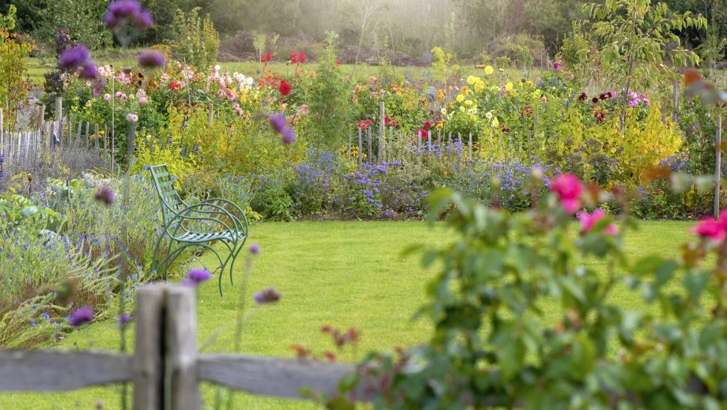 100 ezer forintot ér a gondozott kert: ebben a városban pénzjutalom jár a legszebb portának