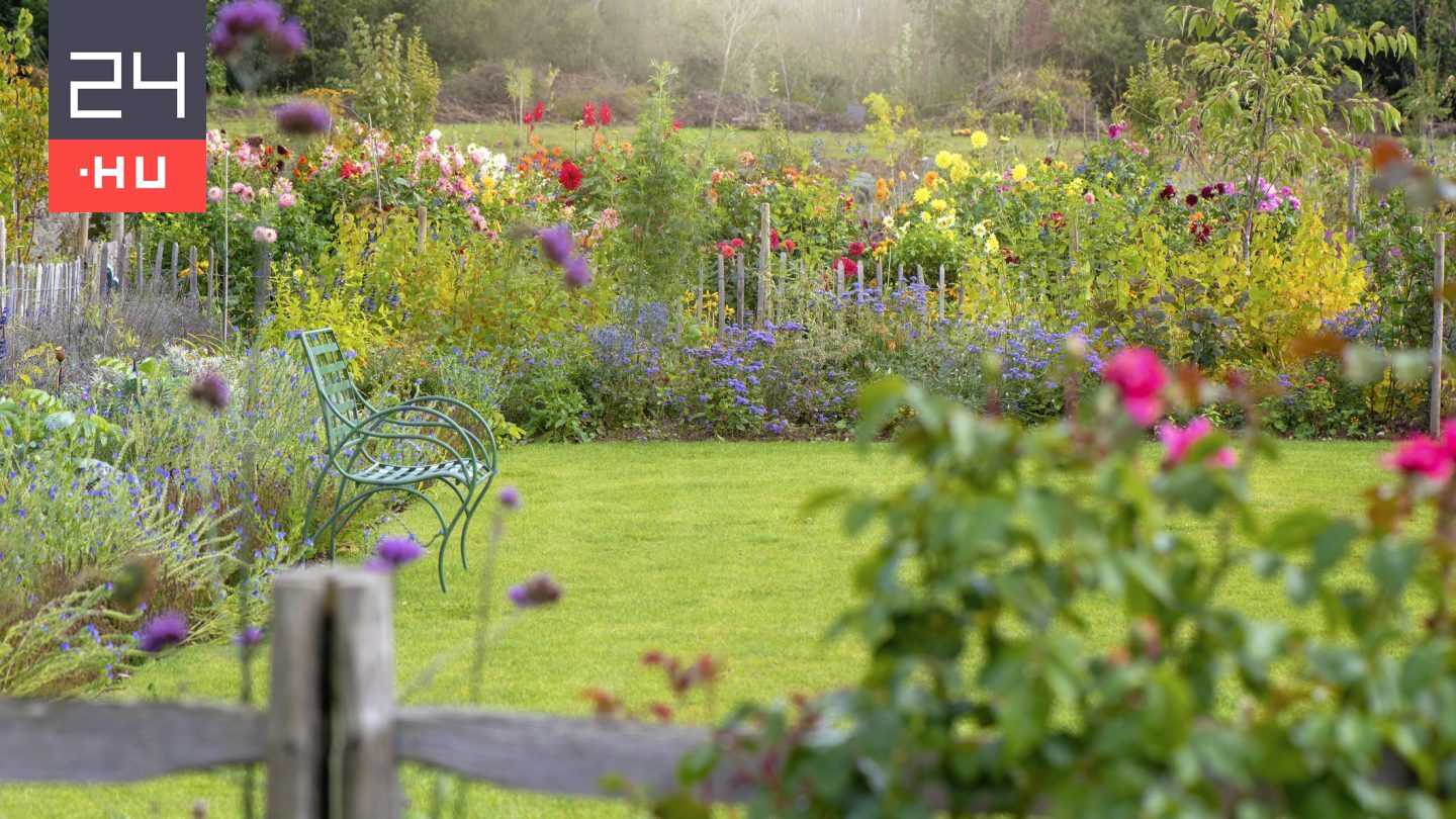 100 ezer forintot ér a gondozott kert: ebben a városban pénzjutalom jár a legszebb portának