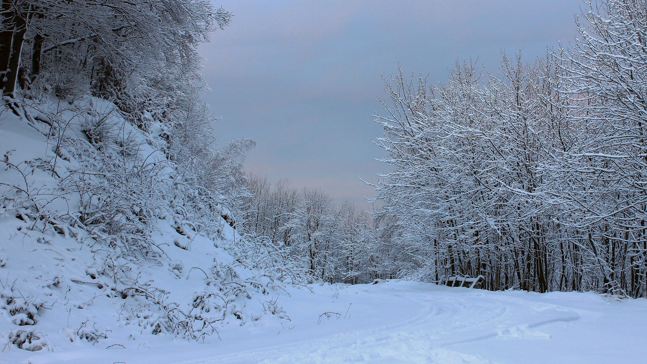 hó, havazás, dunántúl
