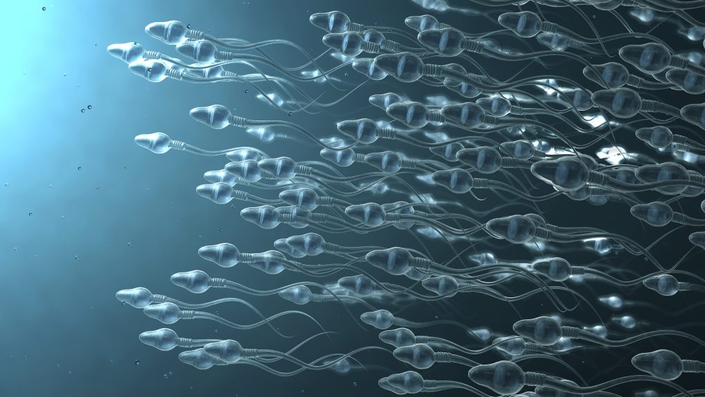 A gyakoribb ejakuláció növelheti a férfiak termékenységét