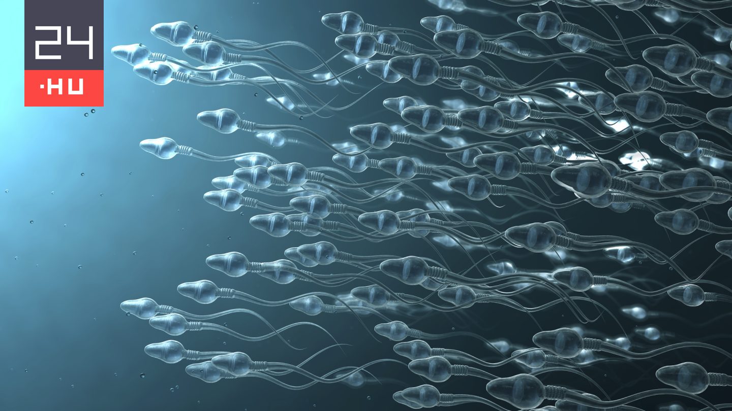 A gyakoribb ejakuláció növelheti a férfiak termékenységét