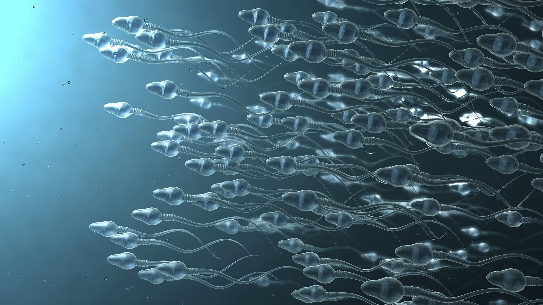 férfiak, spermium, termékenység, kutatás, ejakuláció