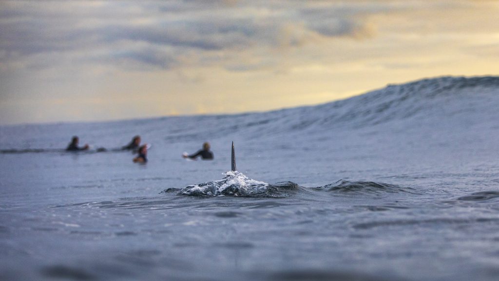 Túlélő kvíz: te is bedőltél a filmeknek?