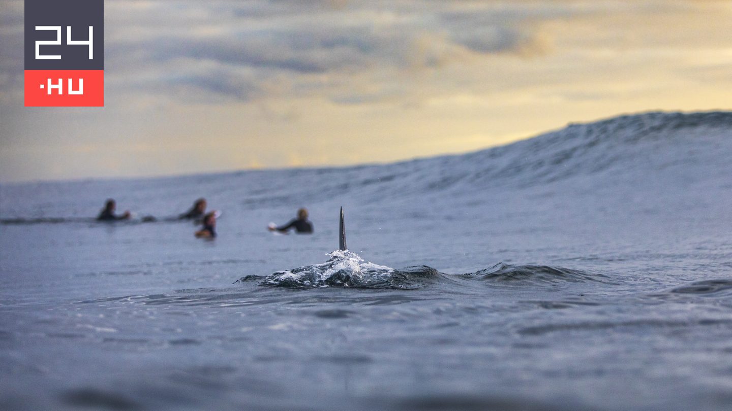Túlélő kvíz: te is bedőltél a filmeknek?