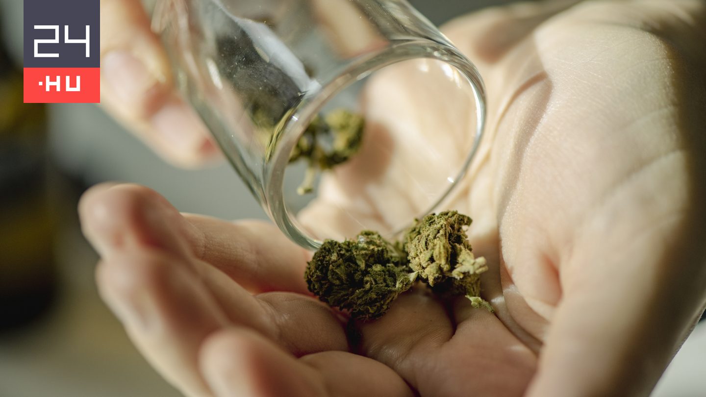 A kannabisz jelentheti a megoldást a világ leggyakoribb májbetegségére
