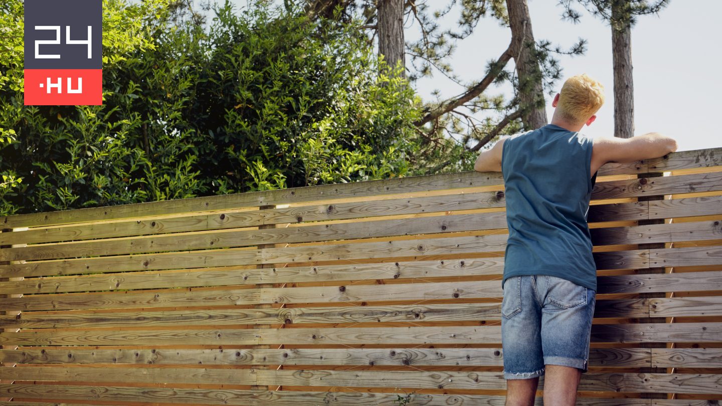 Szomszédvita: megmetszhetem a telkemre átnyúló faágakat?