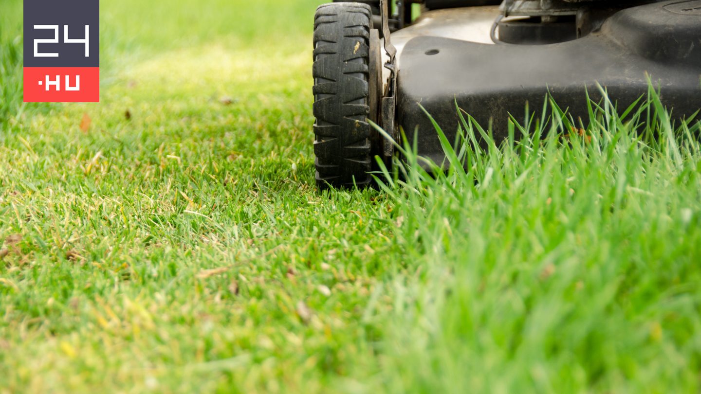 Kitavaszodott: mutatjuk, mikor érdemes már füvet nyírni, és mikor kell még inkább várni