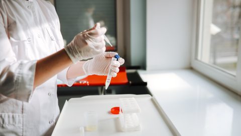 Lab technician doctor working with sperm samples using pipette in laboratory