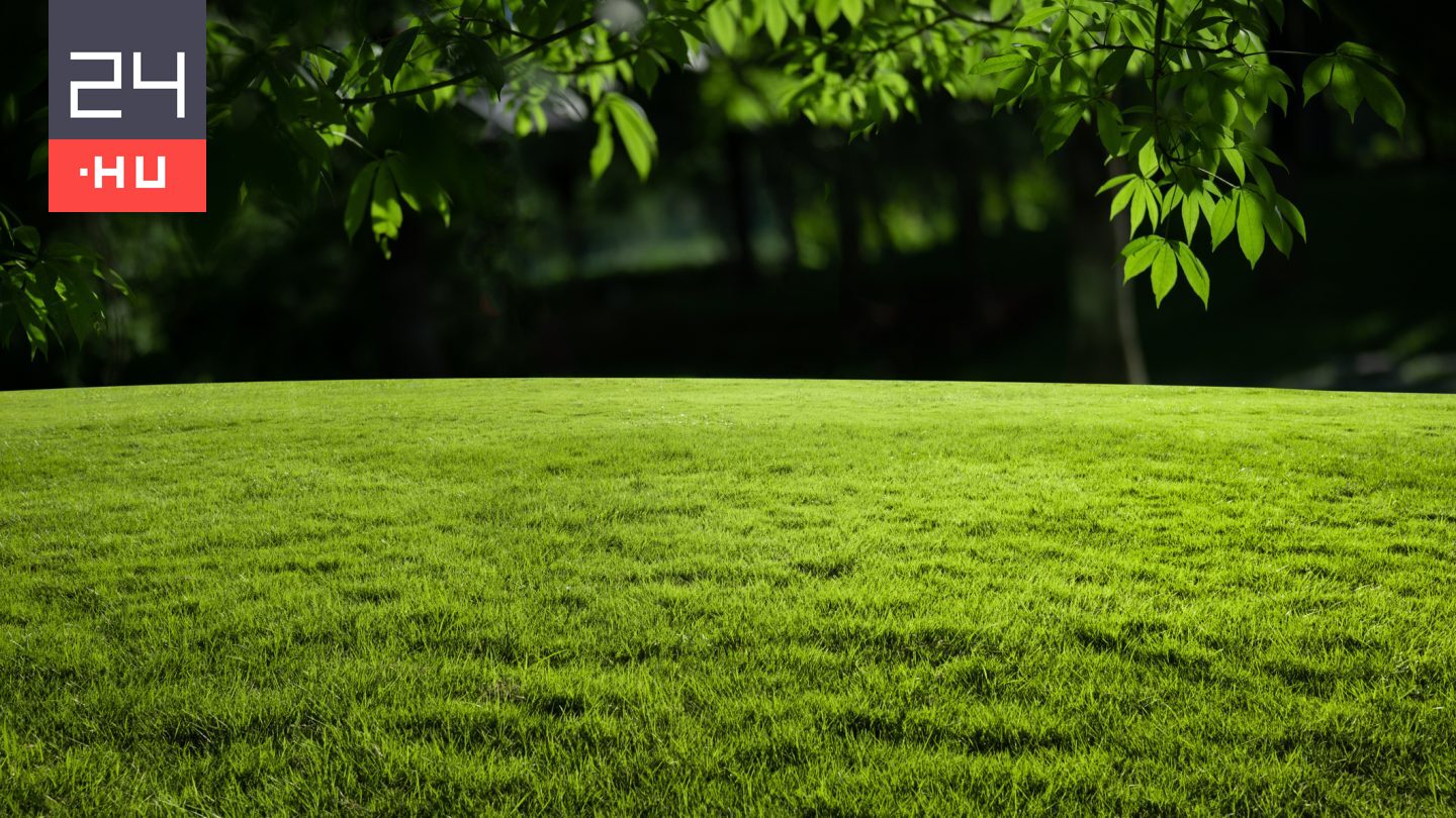 Amit sokan elrontanak: így nem lesz rémálom a tavaszi gyepgondozás