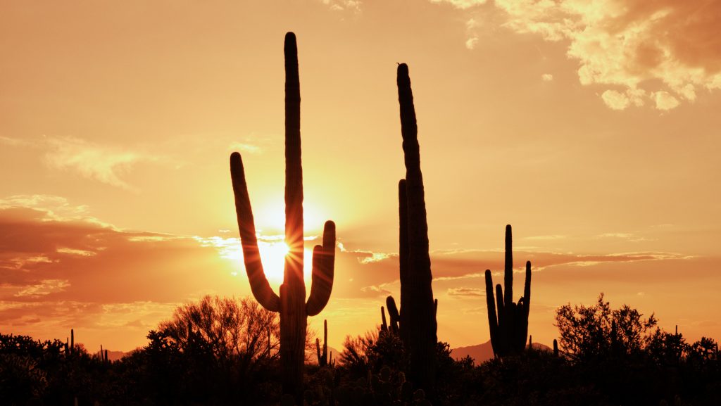 amerika, hőhullám, forróság, 40 fok,