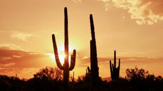 amerika, hőhullám, forróság, 40 fok,