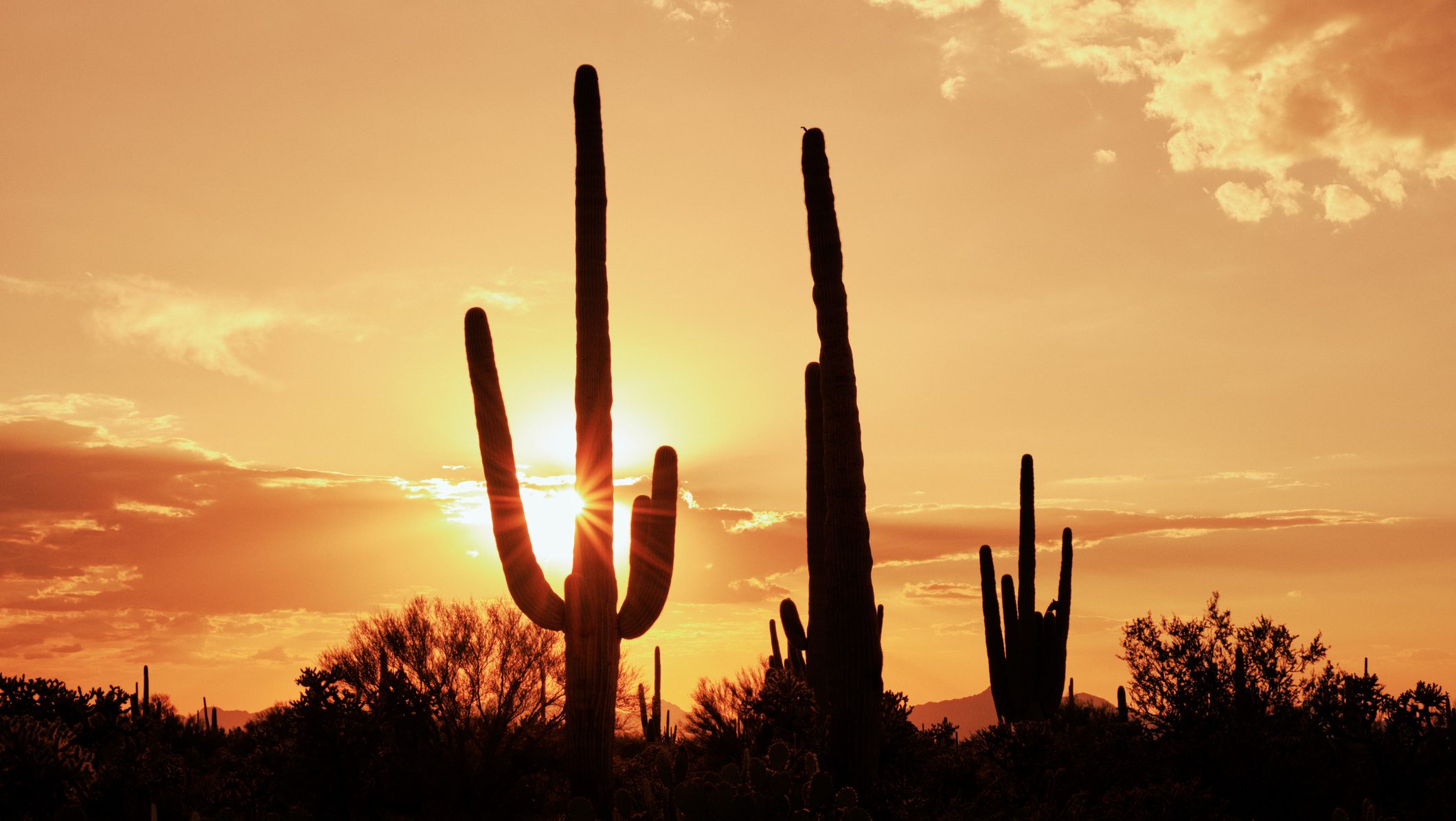 amerika, hőhullám, forróság, 40 fok,