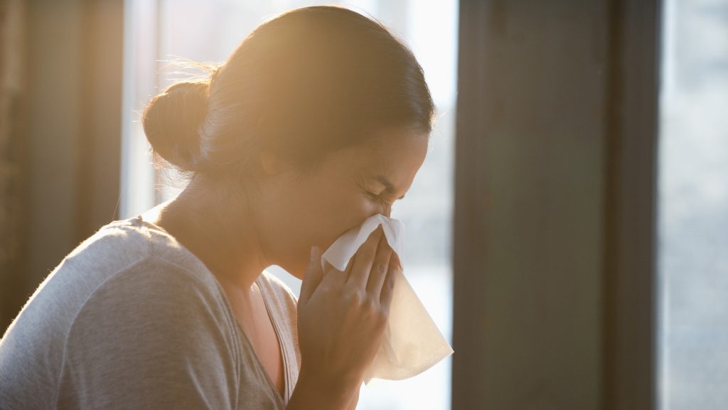 allergia, allergiaszezon, szénanátha, semmelweis egyetem, semmelweis help