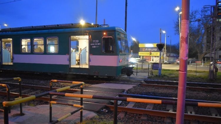 Elütött a HÉV egy mobilját nyomkodó 14 éves fiút Óbudán, életveszélyben van