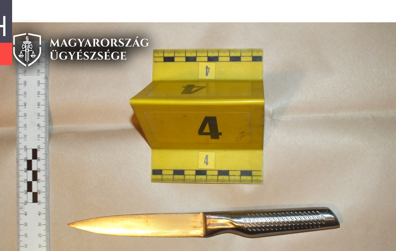 Milliókkal húzta le a neje fiát, majd lemészárolta az ultimátumot adó feleségét