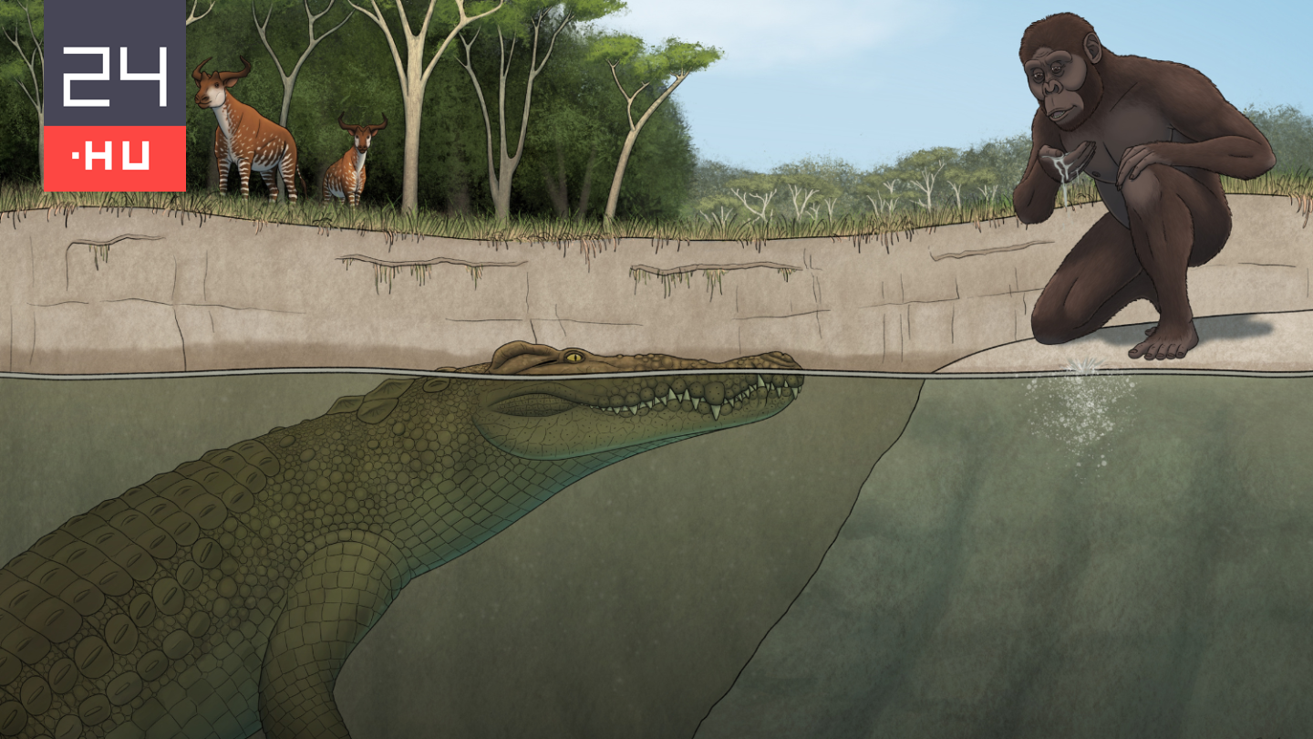 Az emberek elődeire vadászhatott ez az óriási őskrokodil