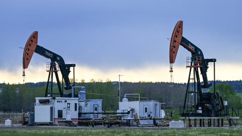 Kőolajkitermelő kutak a kanadai Albertában.