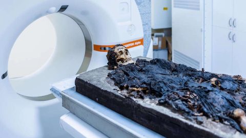 CT-vizsgálatnak vetettek alá egy Budapesten talált, római kori múmiát.