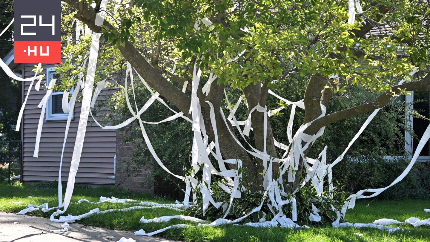 Egyszerű diákcsínynek indult, halálos gázolás lett a vége