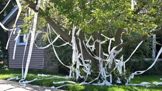 Egy vécépapírral beborított ház.