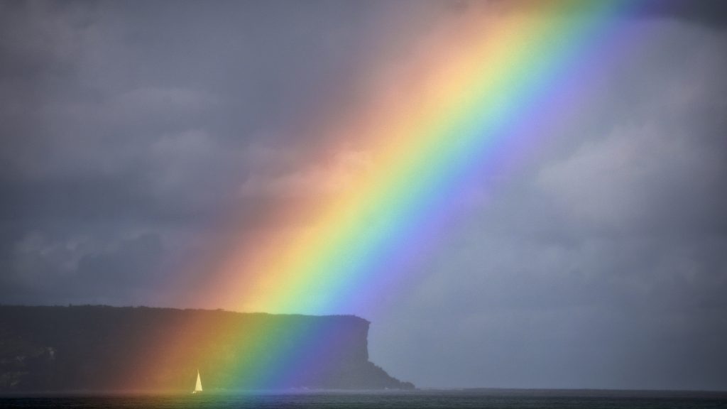 Plüssmackó installáció és ausztrál szivárvány a hét képein
