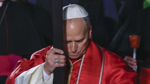 XIV. Leó pápa, Vatikán