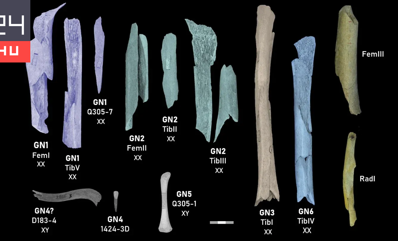 Időnként gyerekek és nők is szerepeltek a neandervölgyiek étlapján