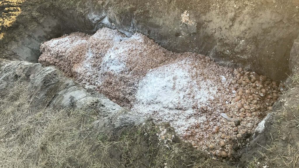 Záptojásszag fojtogat egy somogyi községet, a helyi tojásfeldolgozó cég tagadja a felelősségét