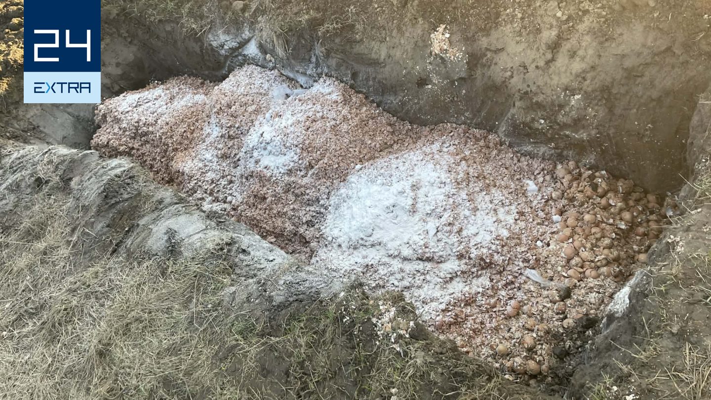 Záptojásszag fojtogat egy somogyi községet, a helyi tojásfeldolgozó cég tagadja a felelősségét