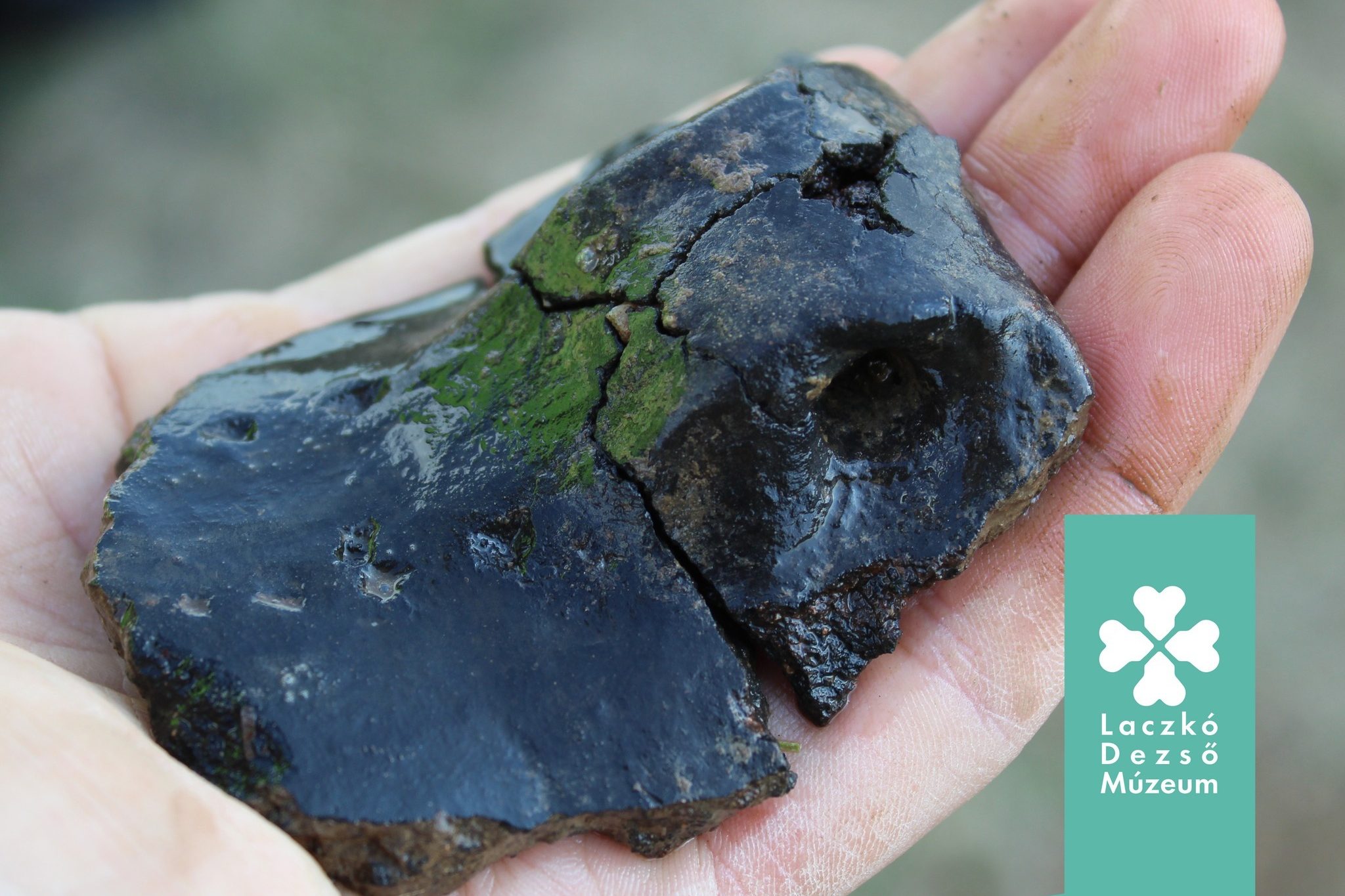 Rézkori kerámiatöredék.