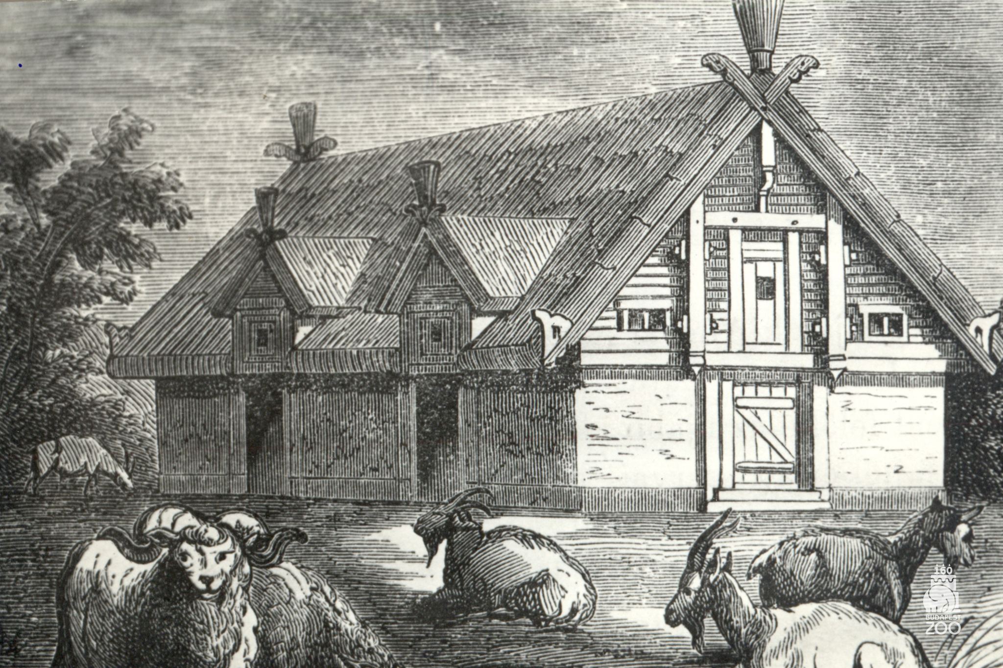 Így nézett ki a Fővárosi Állat- és Növénykert 160 éve.