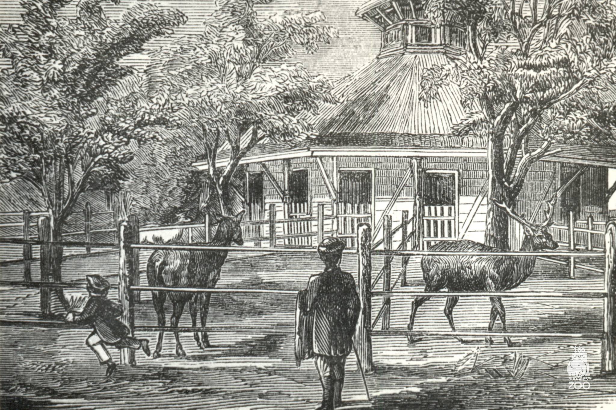 Így nézett ki a Fővárosi Állat- és Növénykert 160 éve.