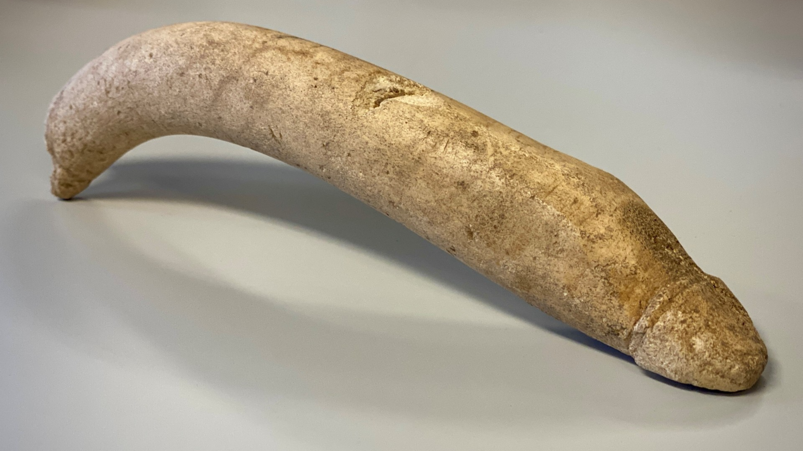 római kori csontból készült pénisz