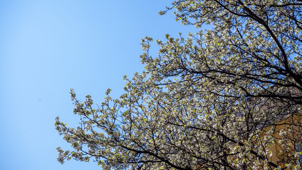 Húsz fok feletti napsütéses idő lesz a kormányváltás utáni első hétvégén