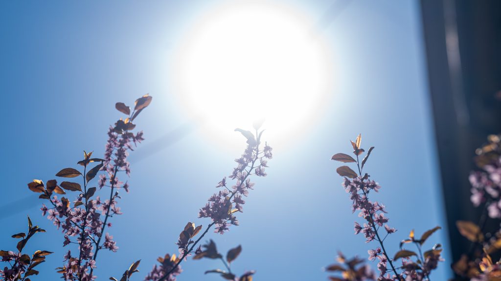 Nyárias lesz a szombat, szeles a vasárnap