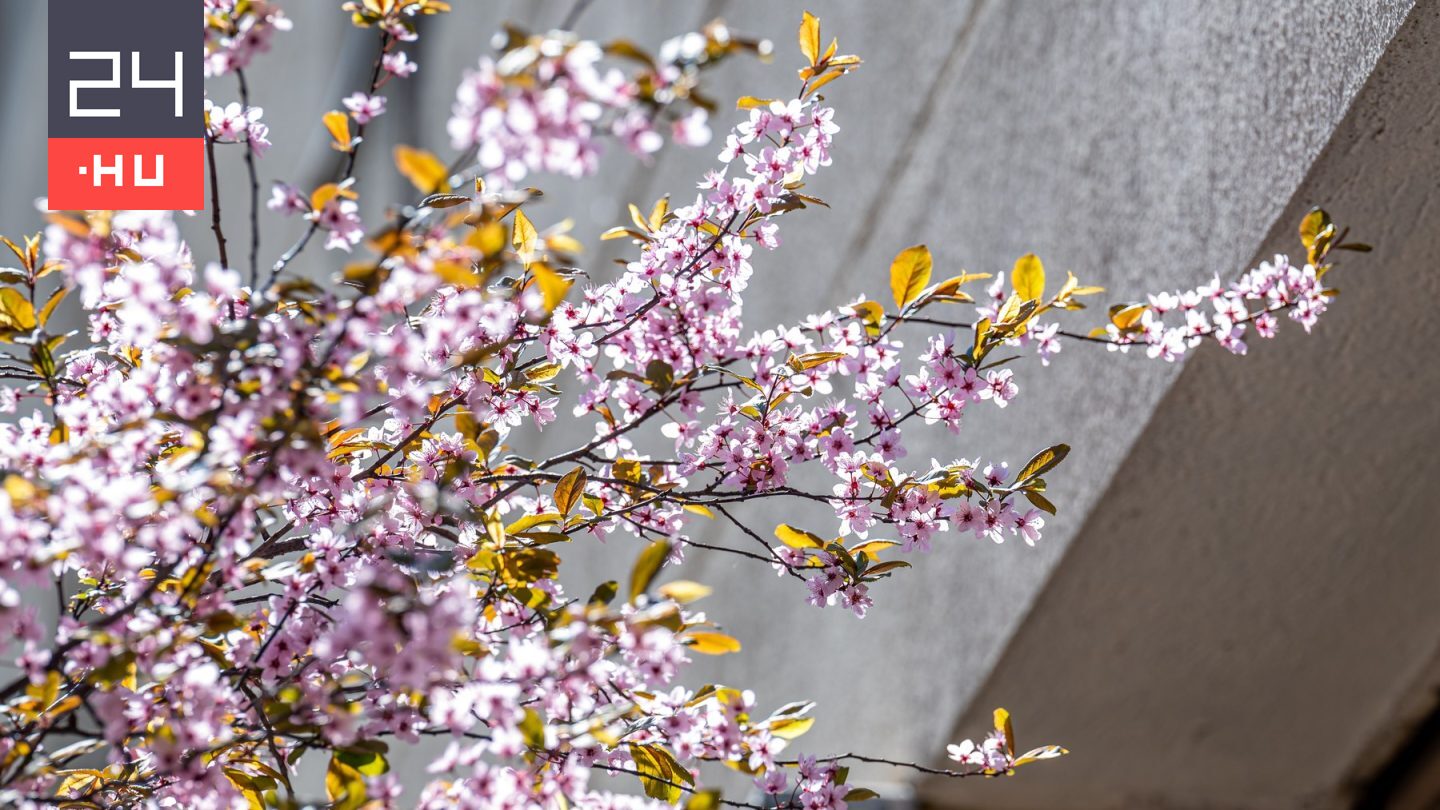 Húsvétig melegszik az idő, hétfőn viszont hidegfront érkezik