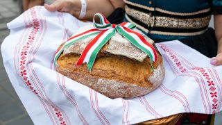 kenyér, hizlal, szénhidrát, kutatás, egerek, zsír