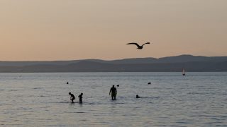 szárazság, ínség-szikla, fotó, balaton, velencei-tó