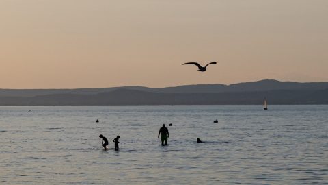szárazság, ínség-szikla, fotó, balaton, velencei-tó