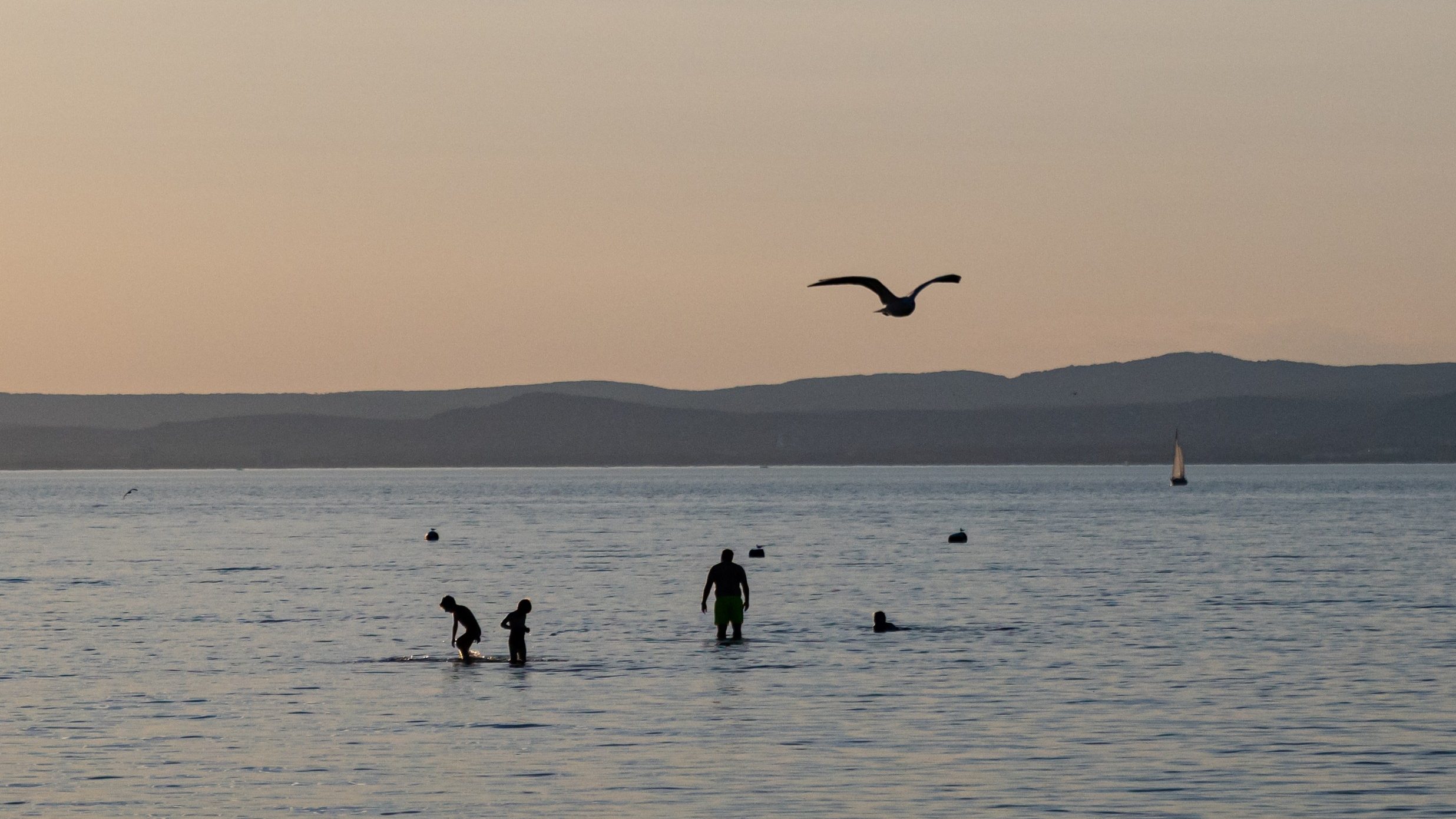 szárazság, ínség-szikla, fotó, balaton, velencei-tó
