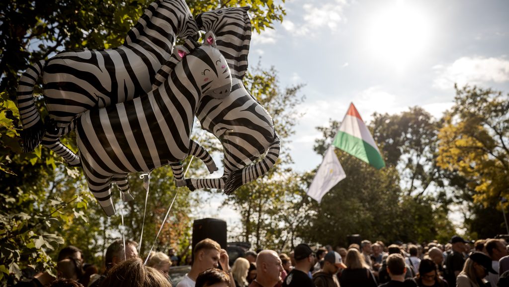 Hadházynak válaszolt a NÉBIH: Tíz zebra van a Mészáros Lőrinchez köthető vadásztársaság tulajdonában