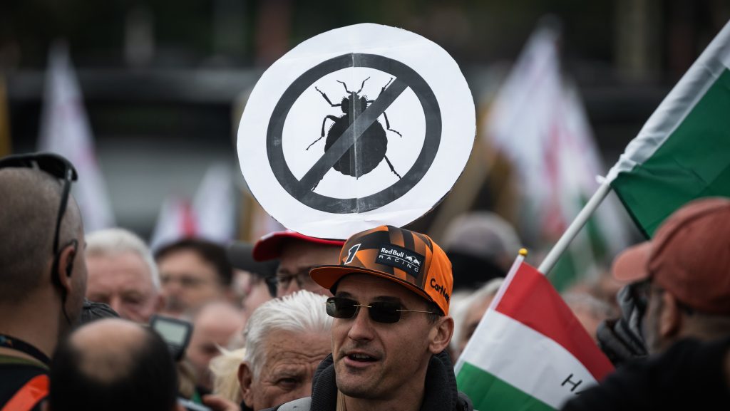 A Magyar Nemzet bocsánatot kérő levelet küldött Magyar Péternek a poloskázás miatt