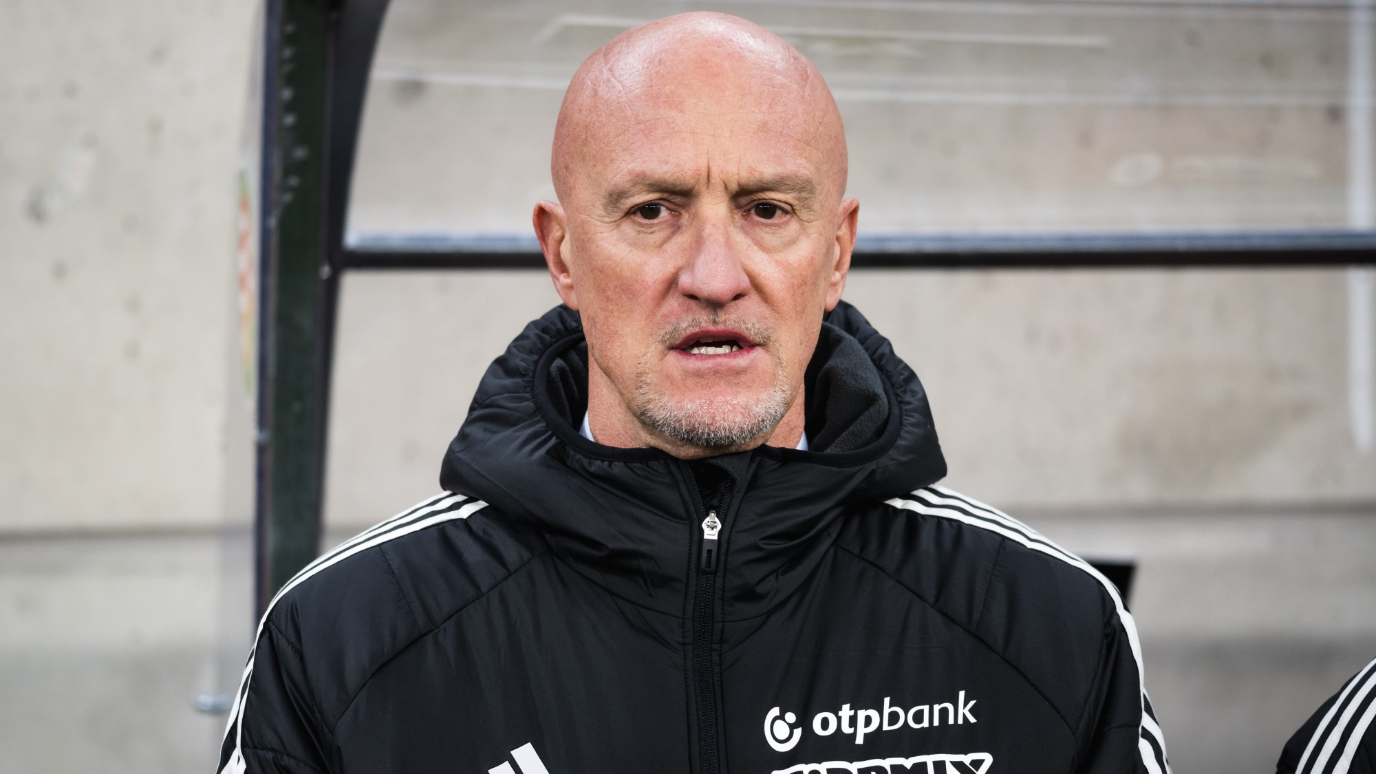 Marco Rossi magyar válogatott olasz válogatott