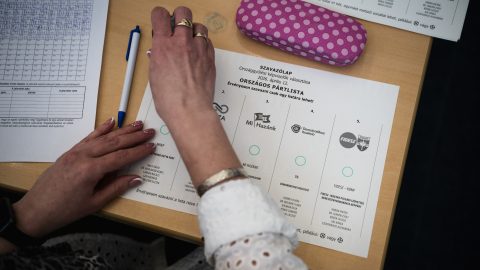 szavazás, választás, adatok, számok, valasztas.hu