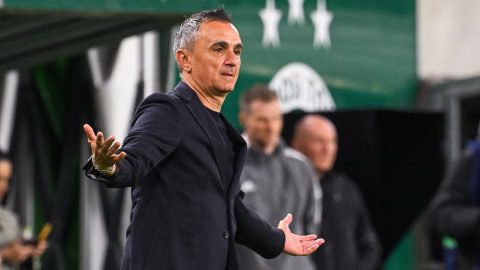 Nebojsa Vignjevic, a Diósgyõr vezetõedzõjeként a Groupama Arénában.