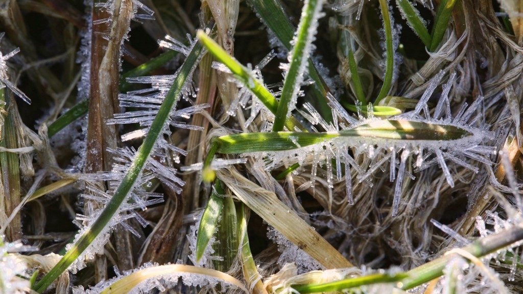 Mínusz 7,4 fok! – megdőlt a hajnali hidegrekord