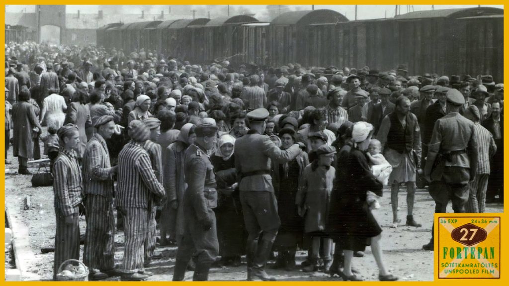 „Családi” fotók a haláltáborból – az Auschwitz-album története