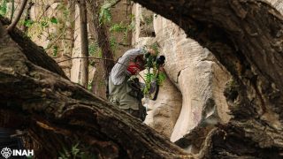 régész fotóz egy szilafalat