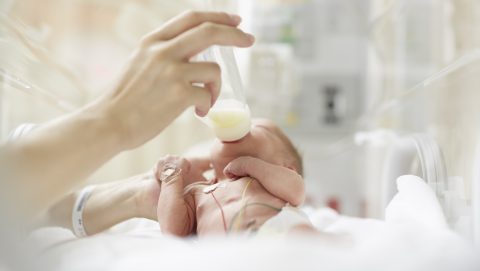 anyatej, újszülött, semmelweis egyetem, kutatás, terápia