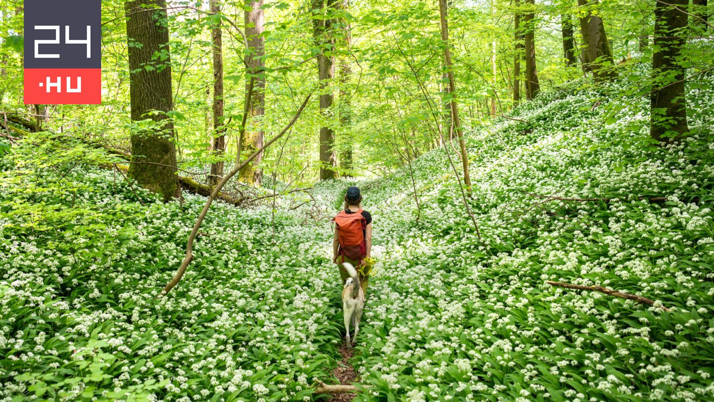 Élvezze ki a szombati napsütéses időt, mert jön a hidegfront